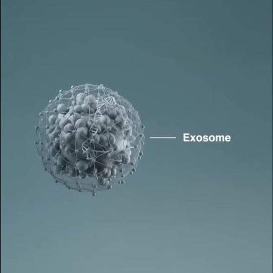Exo Booster from Dermalogica Pro