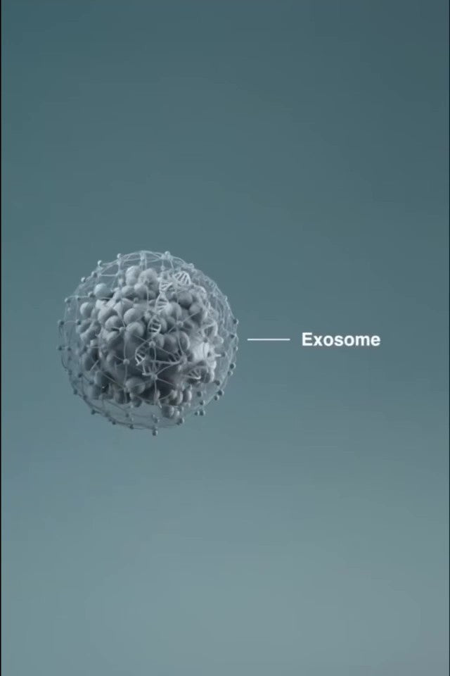 Exo Booster from Dermalogica Pro