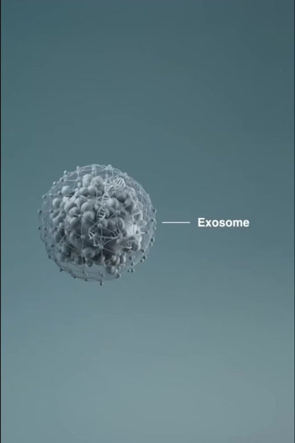 Exo Booster from Dermalogica Pro
