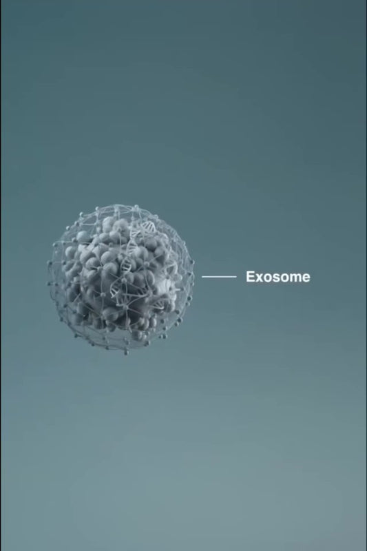 Exo Booster from Dermalogica Pro